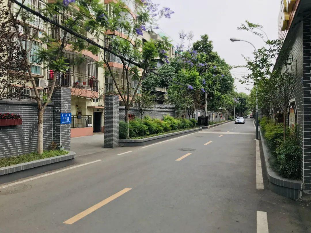 蓉江街道图片