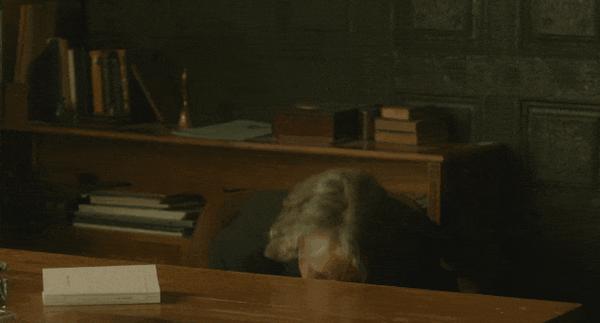 《我的企鹅老师》宠物当“老师”很离谱?不,巨好看!
