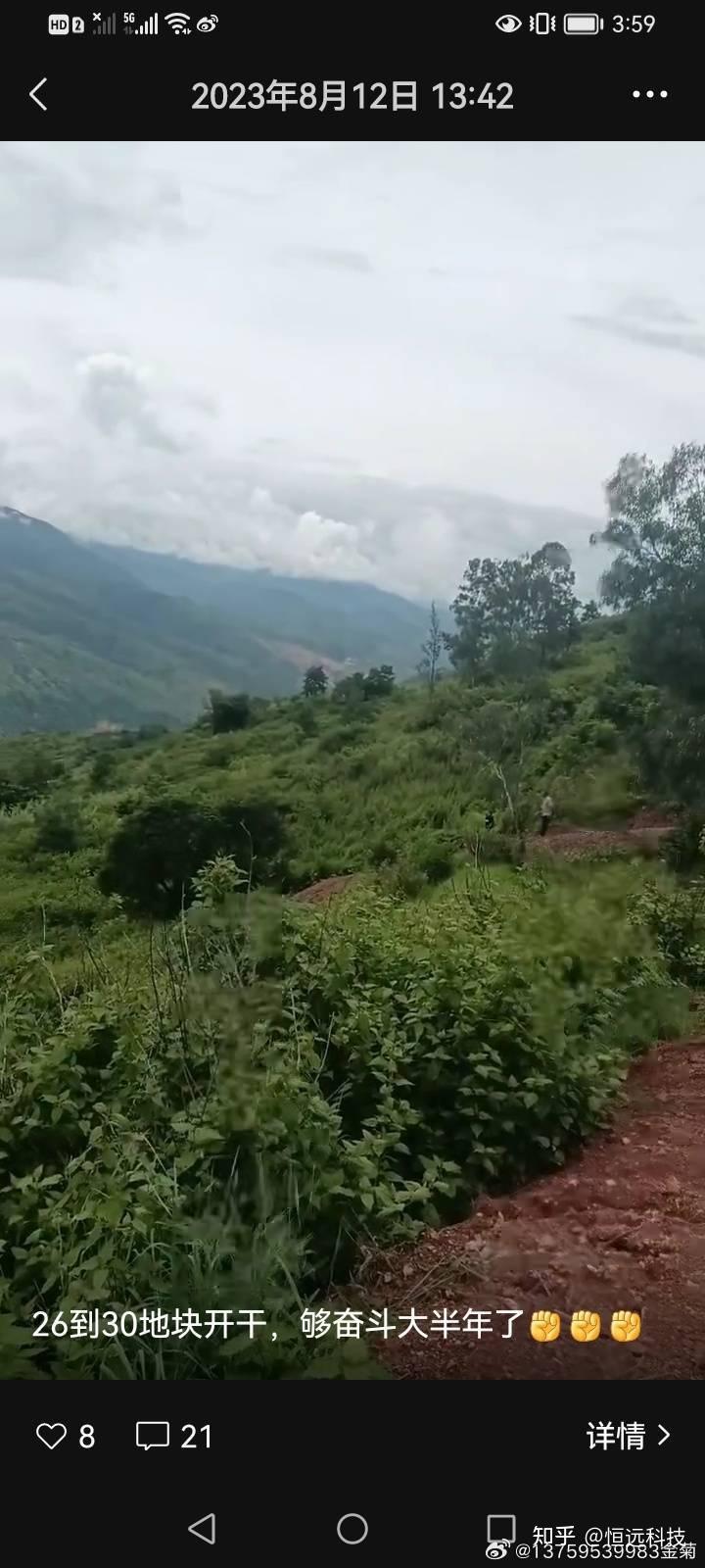 青山變荒漠雲南省重點光伏項目涉嫌違規操作惡意拖欠農民工工資