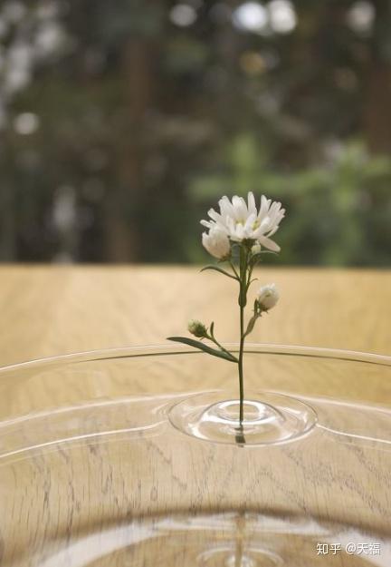 向逝者致哀的几种方式 向死者致哀用语 二安网