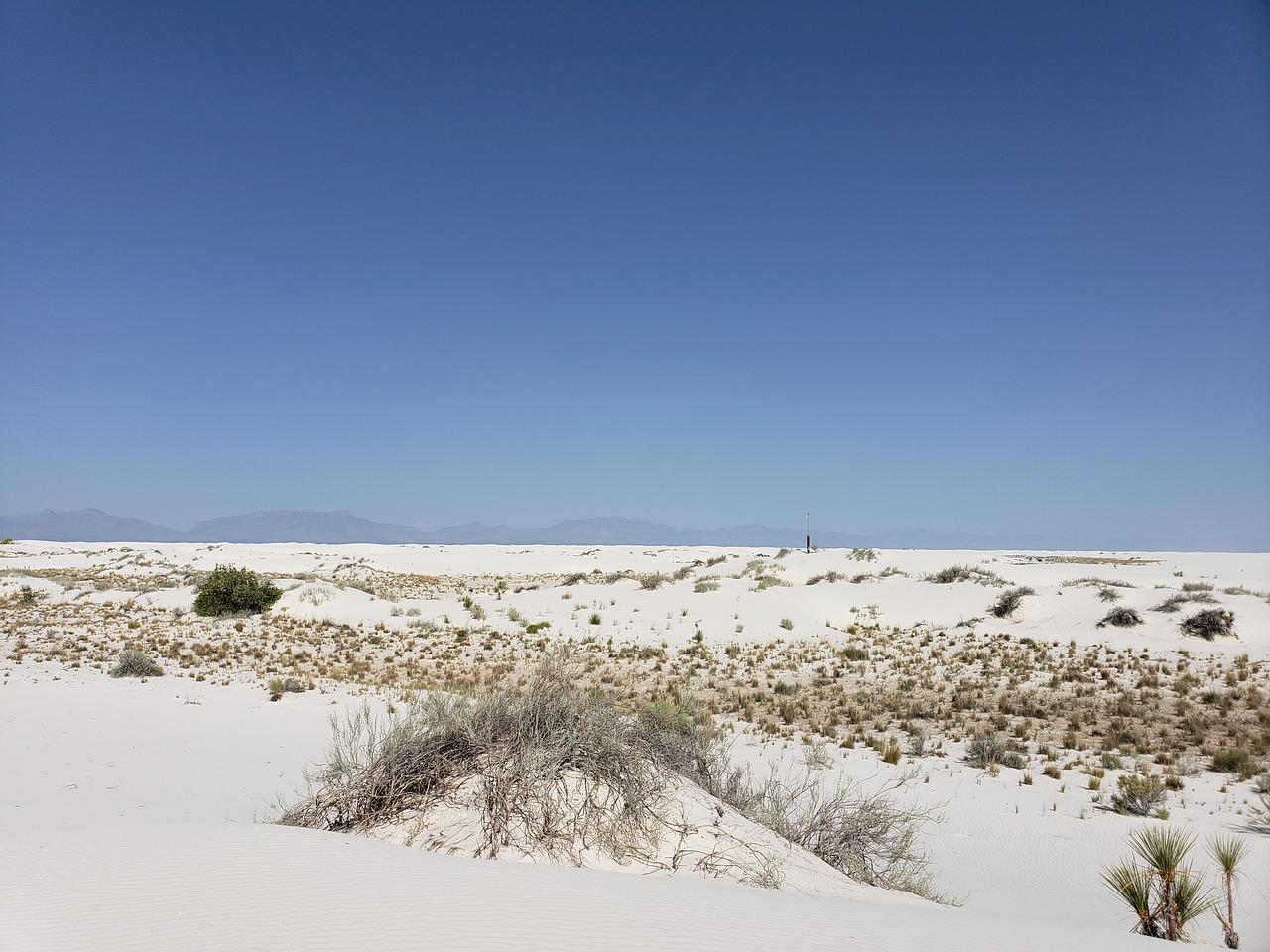 4. 黄沙特性分析