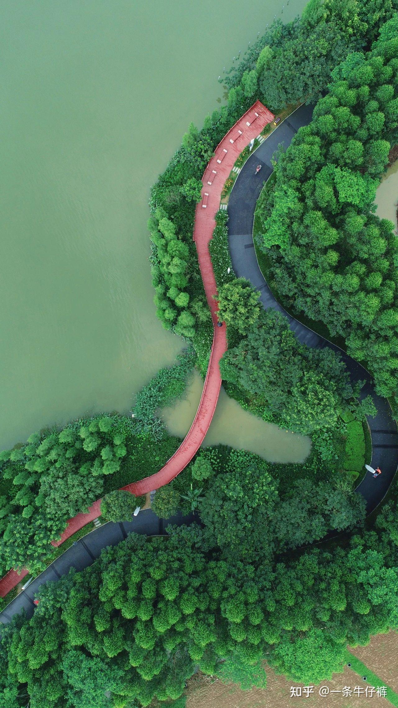 华阳湖 风景区图片