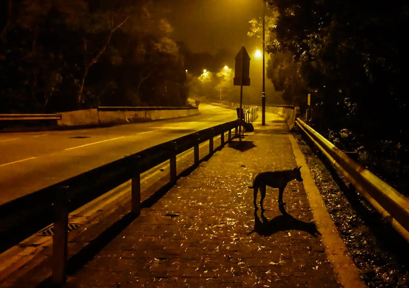 有哪些看上去就很孤独的照片?