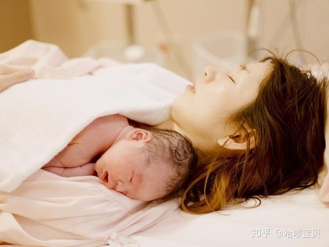 v2-325cd780c9425df4cceeecef6c98abdc_r.jpg