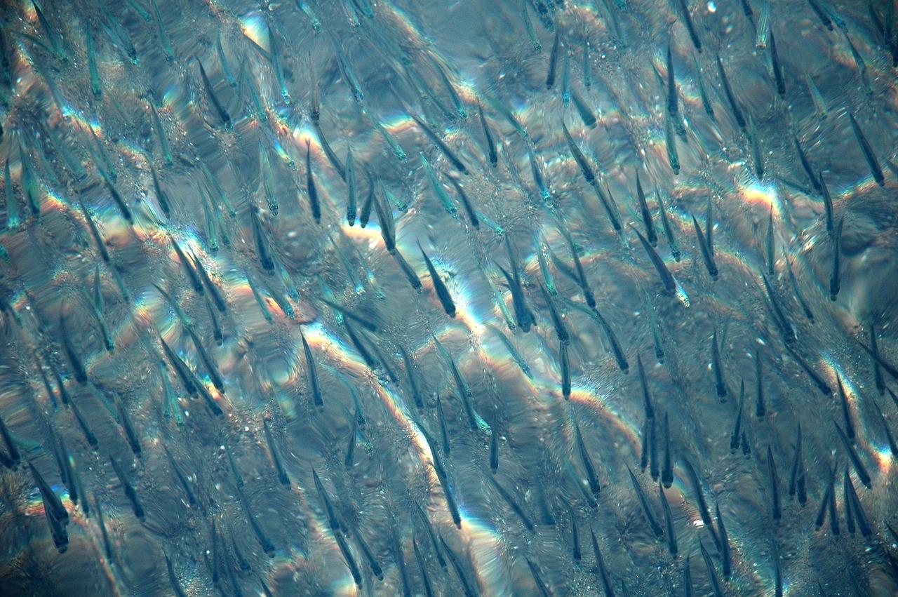 如何出去水中的水垢