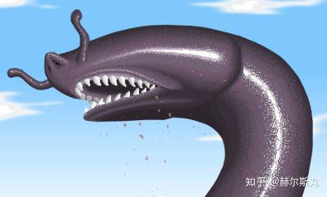 蛇是两栖动物不 v2-32841676f07db00a11b0aa8c26c13d0c_r.jpg