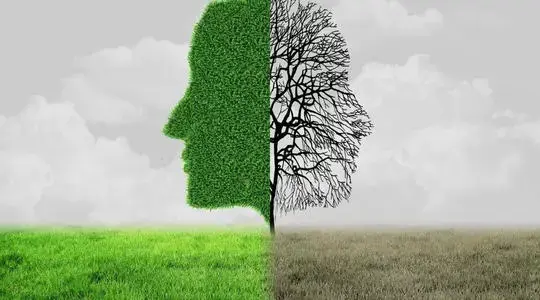 v2-328c0ad070bf4e05a410e349a6a040ac_1440w.jpg?source=172ae18b