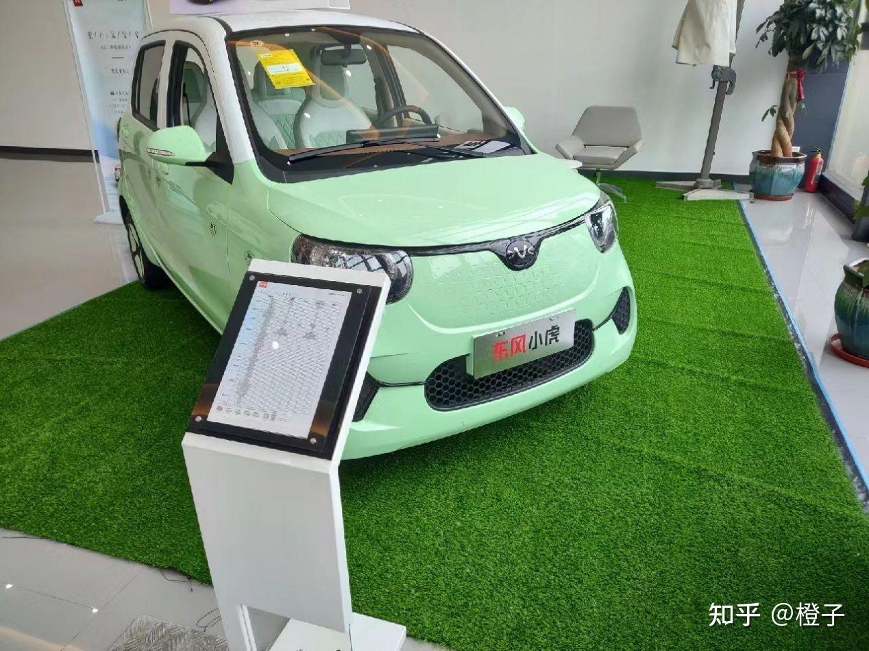 大家觉得5万以内纯电动车宏光mini东风ex1奔奔estar最值得入手哪个