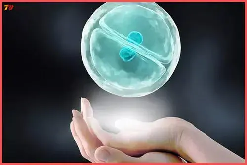 v2-329e003c9ddd88c426583cfe88bea24b_1440w.jpg?source=172ae18b