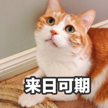 v2-32a0b4340f0cecc765a5b8e4112d5abc_r.jpg