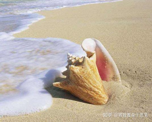 梦境奇遇，陌生男子赠予的五彩斑斓鱼群之谜