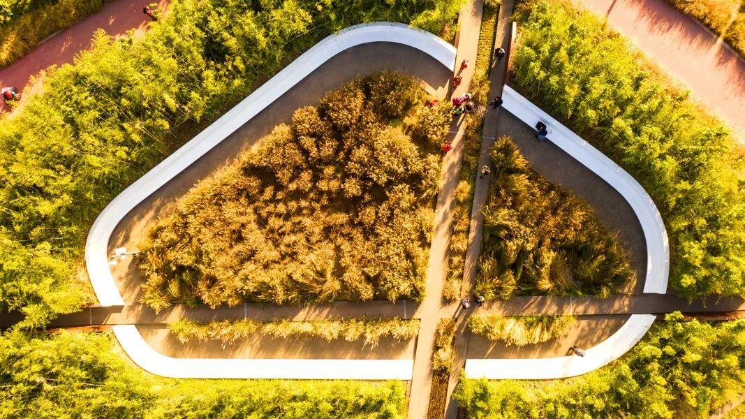 西安雁南公园历史遗迹上的城市绿心