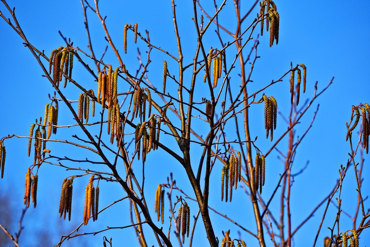 小区绿化率重要吗？