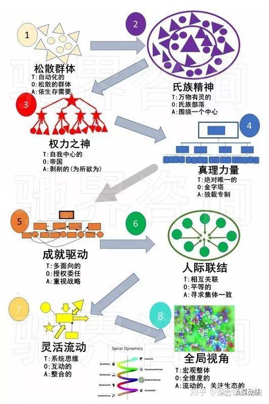 螺旋动力理论概要