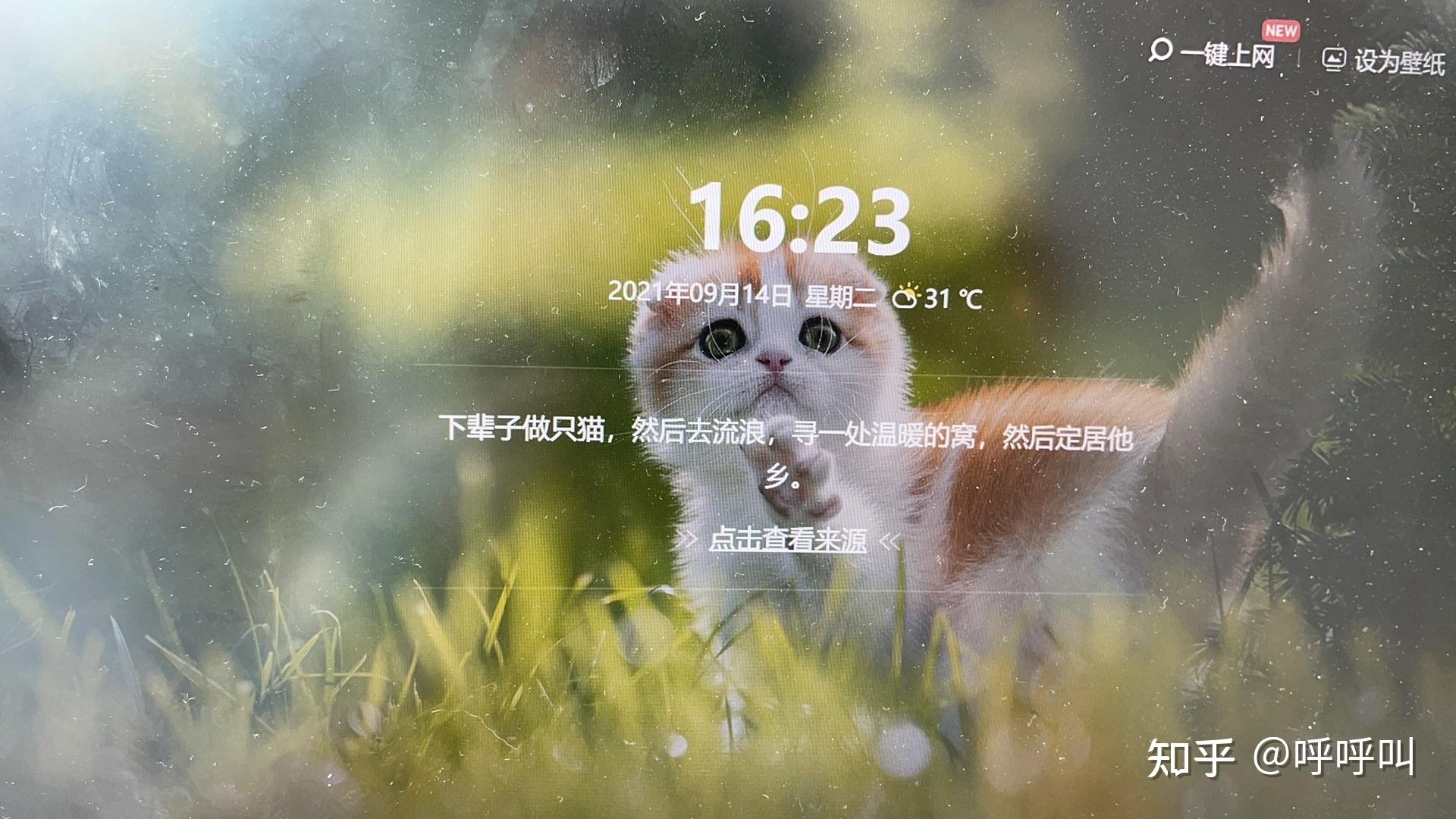 360画报能一键定制成壁纸,感觉还行,你们觉得好用吗? - 知乎