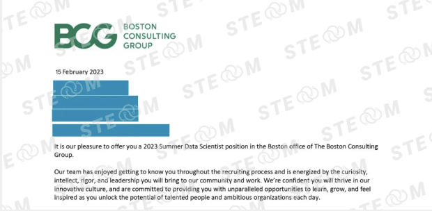 bcg-intern-offer