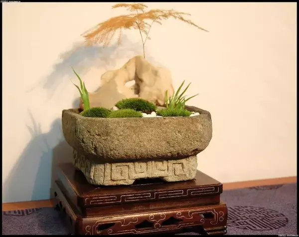 自己动手制作菖蒲花盆