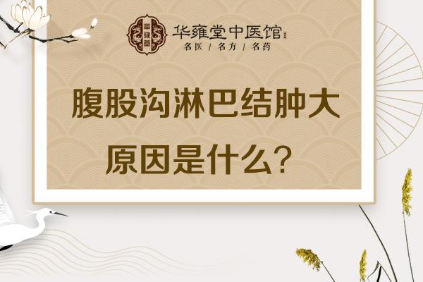 腹股沟淋巴结正常大小图片