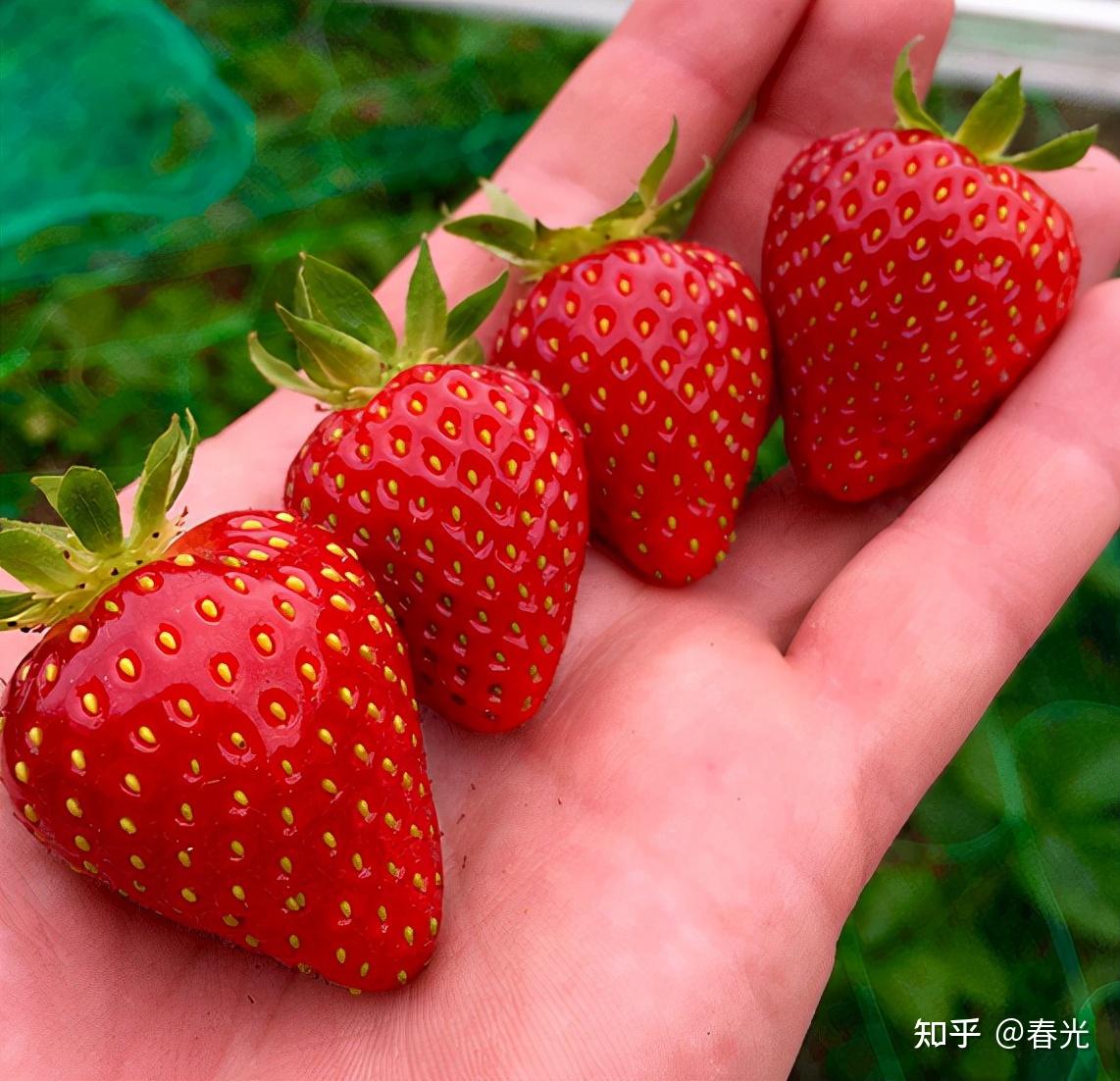 66张治愈强迫症的完美图片,看完整个人都舒服了 - 知乎