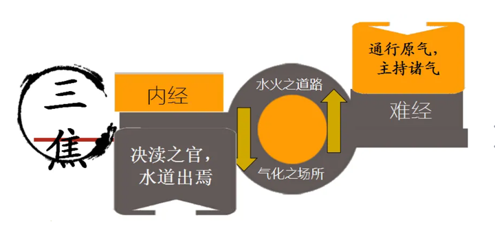 中医的理论模型之一炁三焦 - 知乎