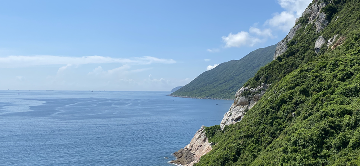 Zig语言的Applicative Functor和Monad的实现 - 知乎