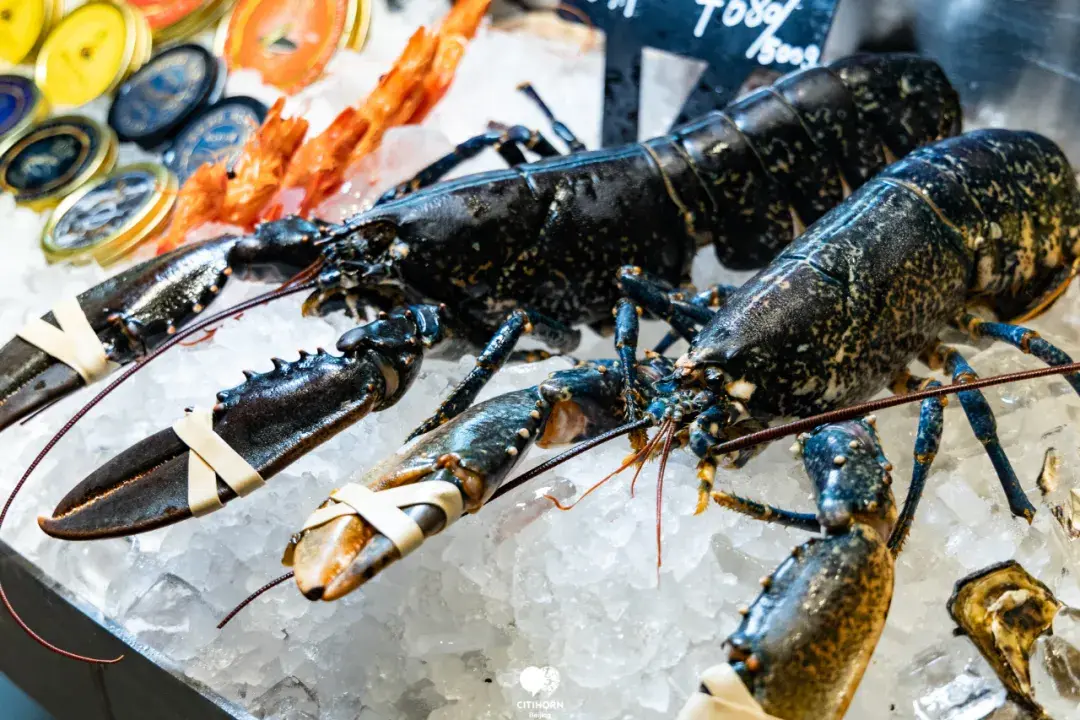 如一艘远航归来的珍宝邮轮,碎冰中装满了全球数十种新鲜上岸的海鲜