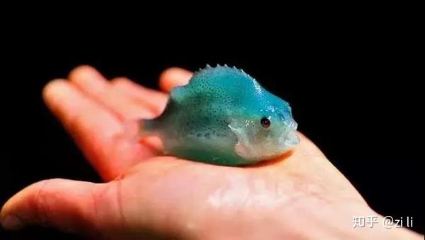濃度 海水