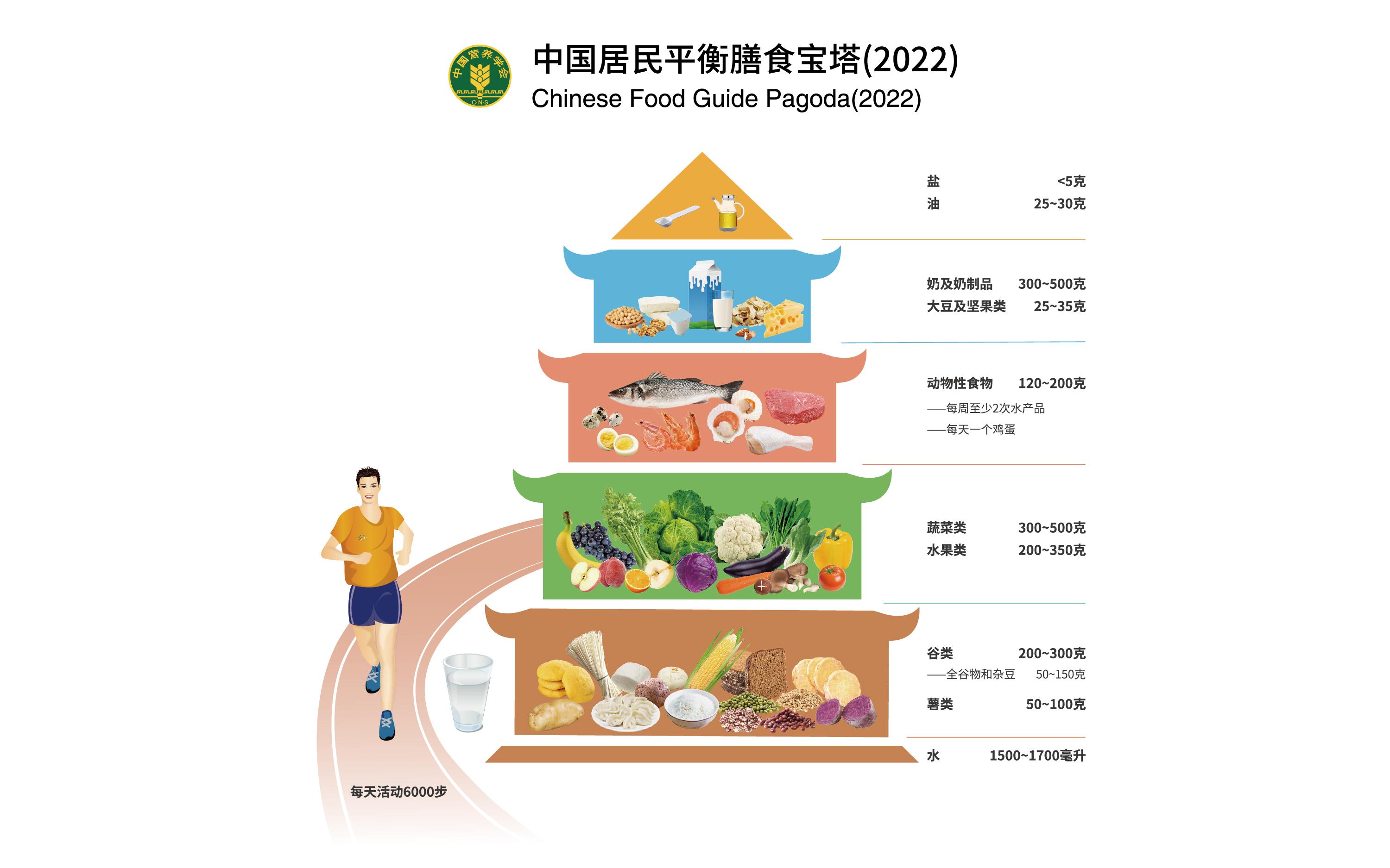 人体三大营养素比例图片