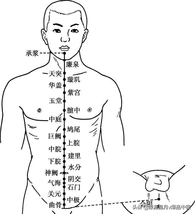 十四经脉 背诵歌诀