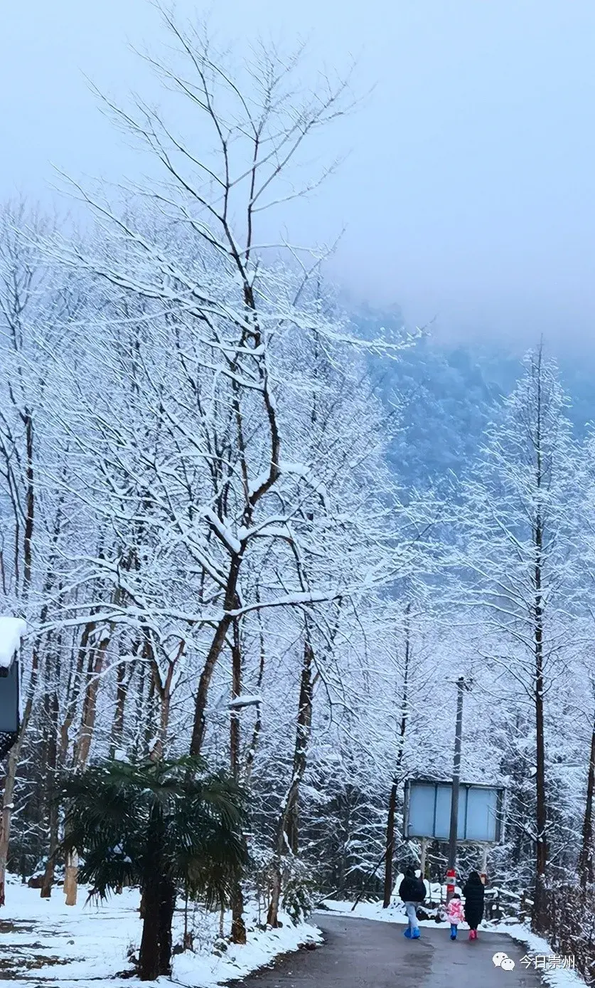 坝雪花映衬红灯盏阳光灿烂寒冬过后就是春天花开满园温馨提醒雪景虽好