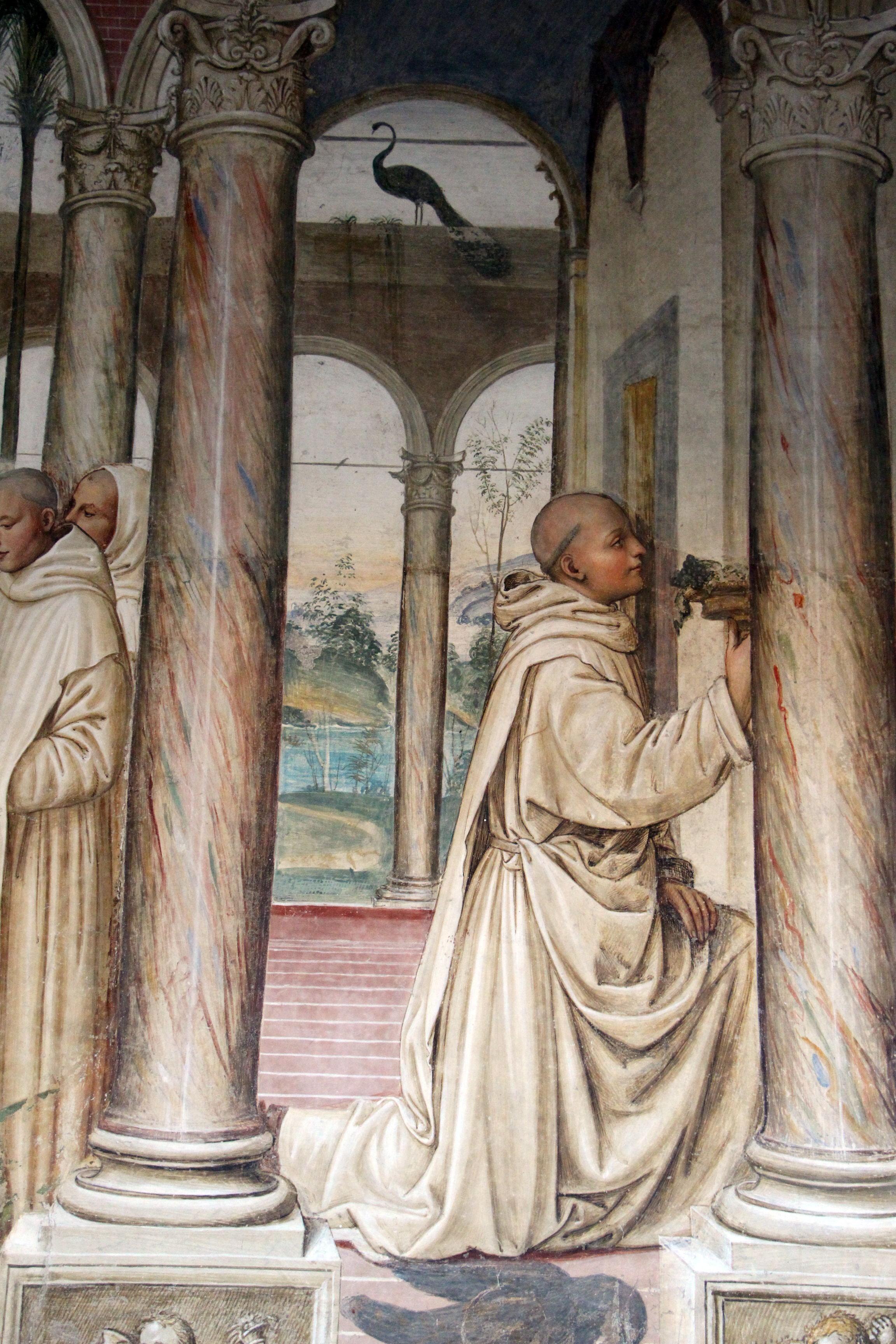 圣本笃 zhuanlan.zhihu.com