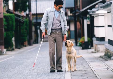 导盲犬小q 电影 知乎