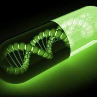 Y 染色体比 X 染色体少那么多基因，那男性比女性到底有什么不同？