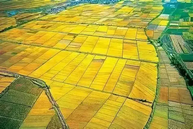 最新设施农业用地政策详解 - 知乎