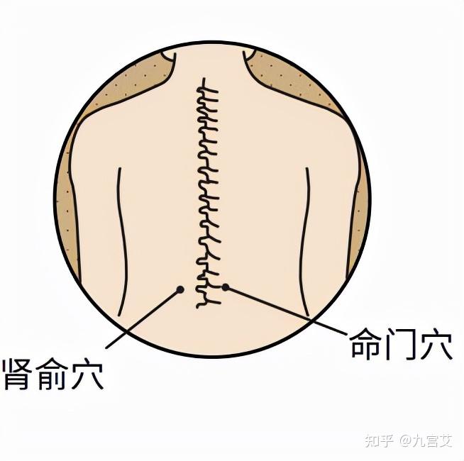 神闕穴神闕穴是我們人體三焦裡面重要的穴位,也是人體的保健大穴位之