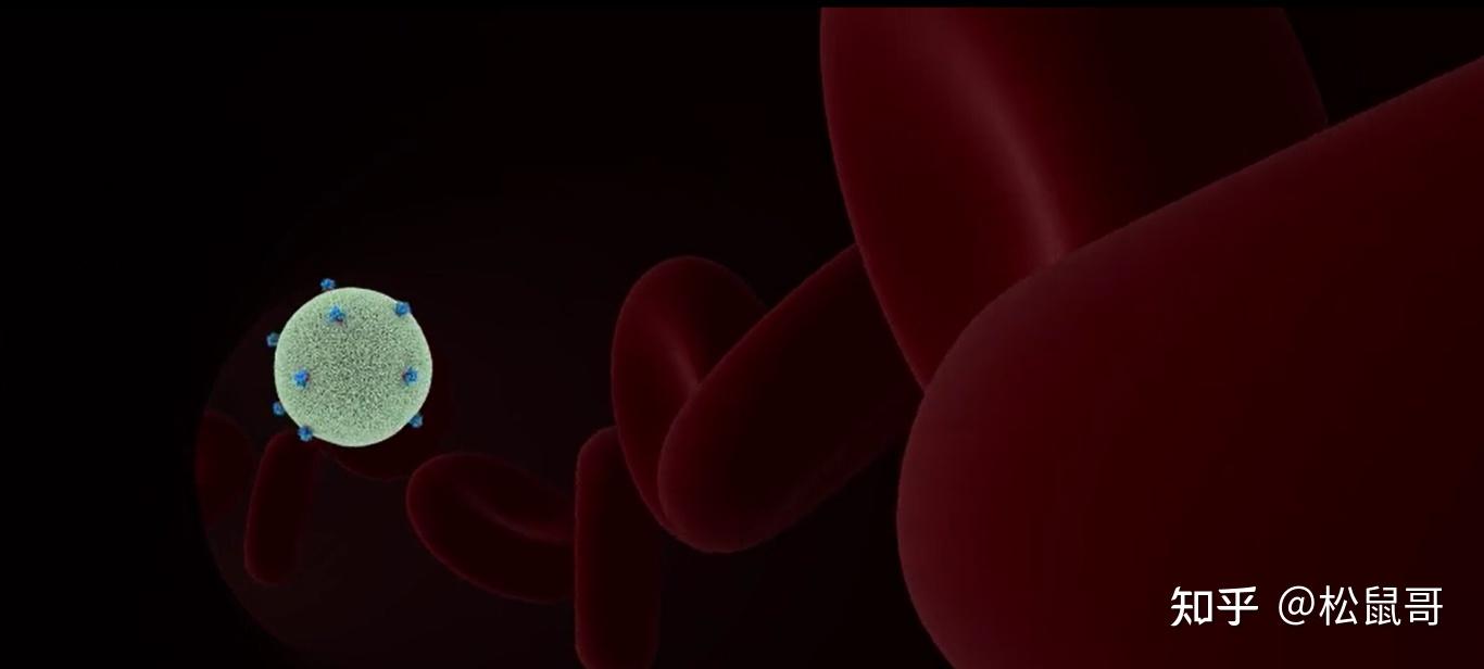 研究发现:APG-1387 可减少 HIV 病毒库并延缓 ART 停药后的病毒反弹 - 知乎