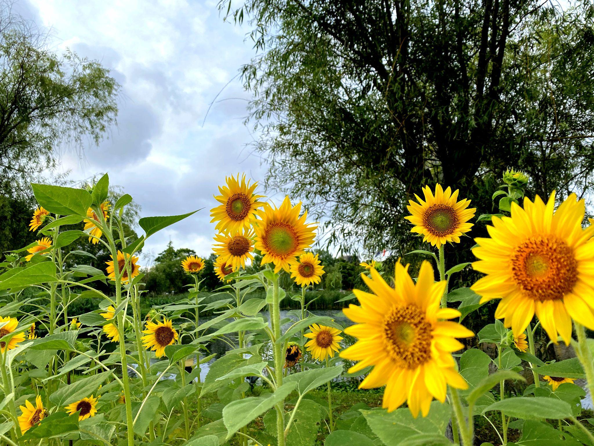 有没有好看的风景照? - 知乎