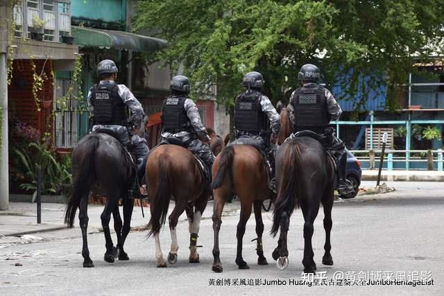 第5081回:梅里安与魔鬼共舞,苏里南昆虫变态图 - 知乎
