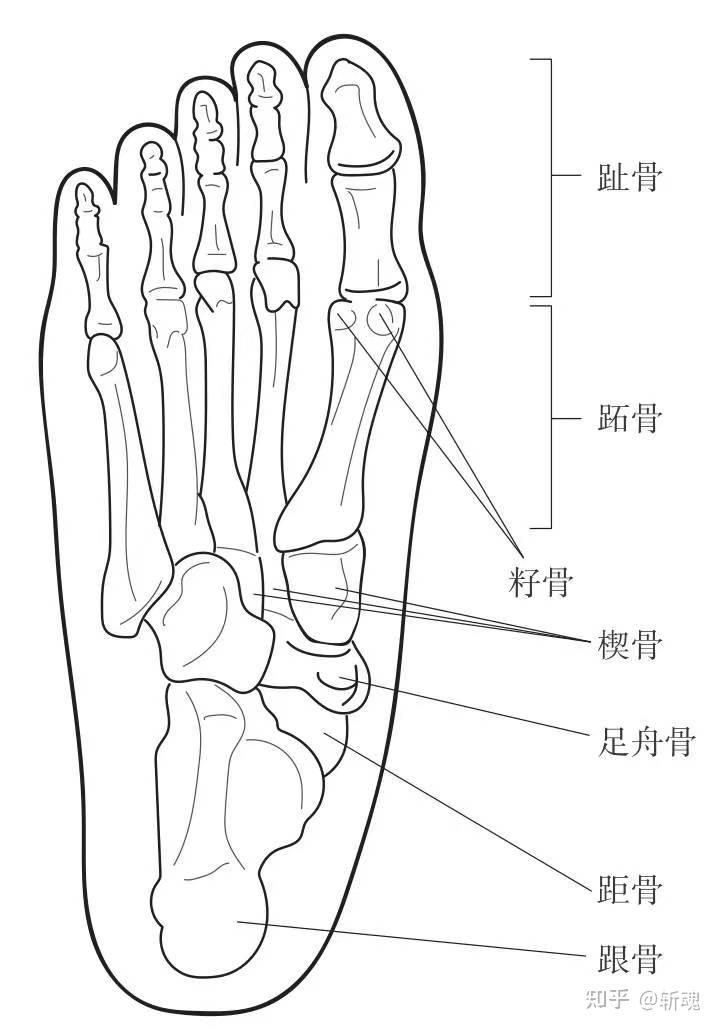 跑步常见病痛1