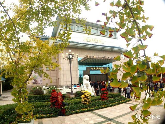 「古枰忆君」深秋的喻继高艺术馆,是否已被铜山银杏鎏得一派灿烂