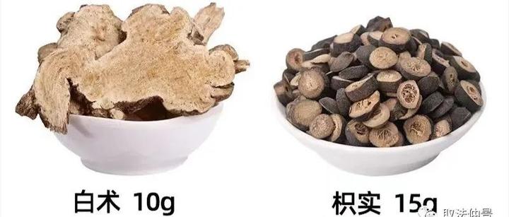 枳术汤减肥图片