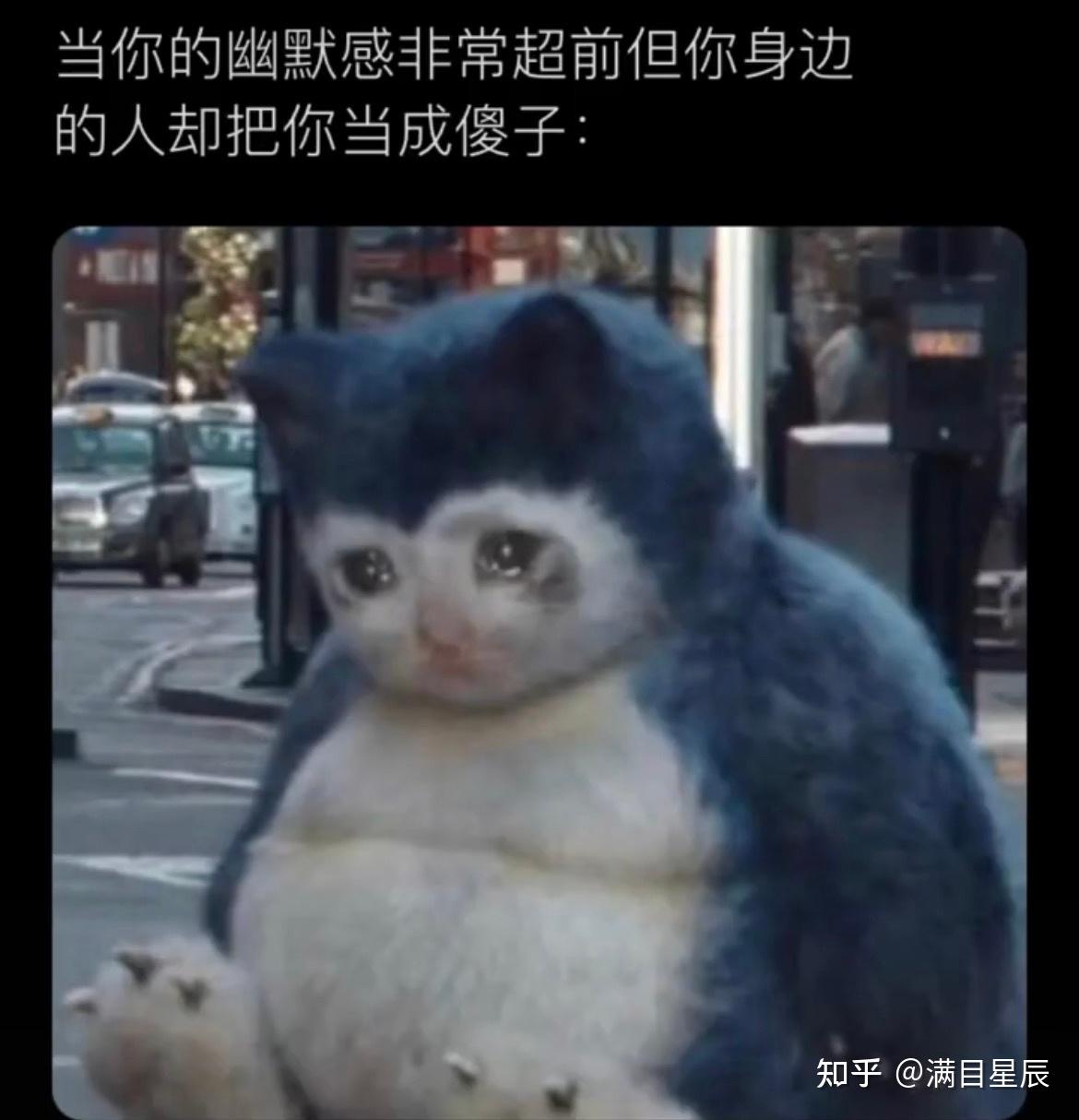 有什么搞笑的图片 - 知乎