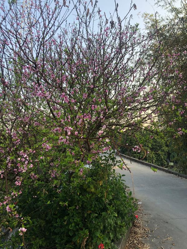 广东没有春天 只有回南天 知乎 广东没有春天 只有回南天 知乎