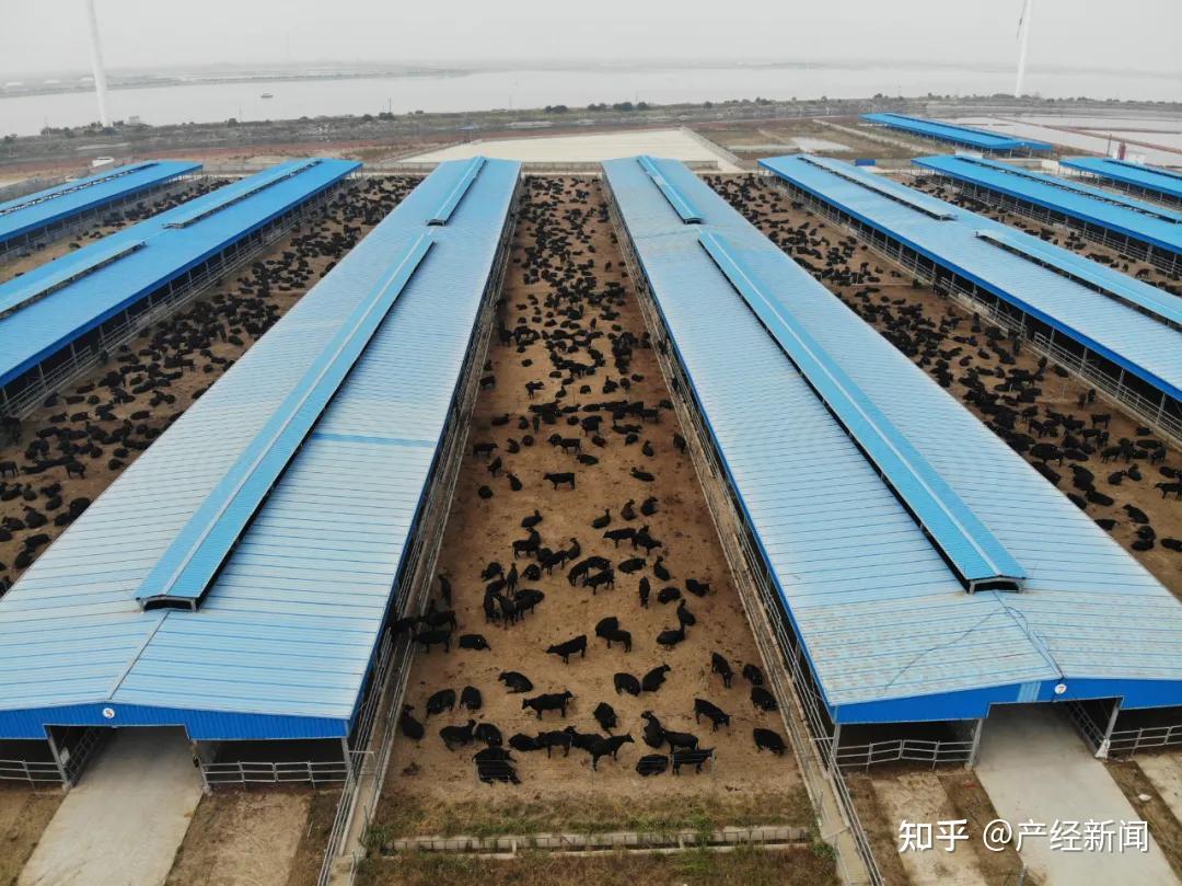 高起点开局高质量推进潍坊国家农综区乘势而上开启新征程