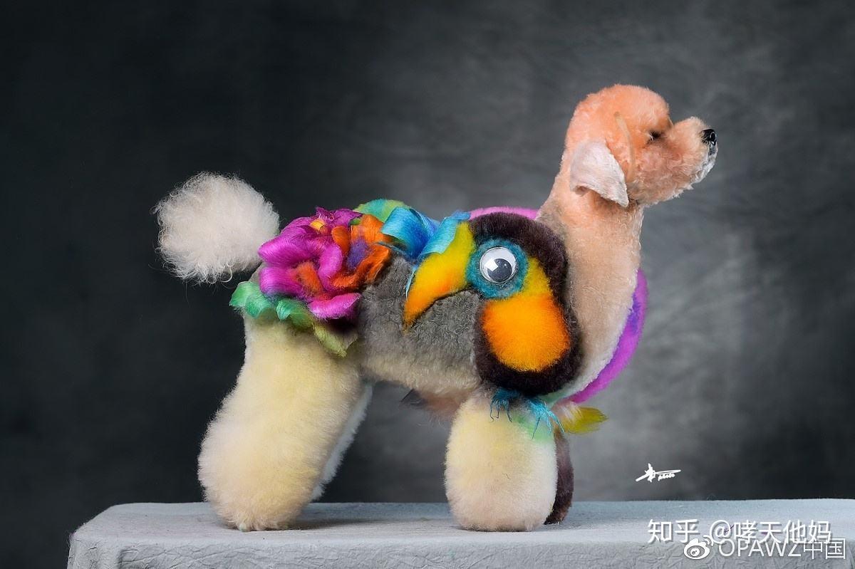 如何看待宠物咖啡馆将宠物犬染色成熊猫狗的业务,你认为宠物美容的