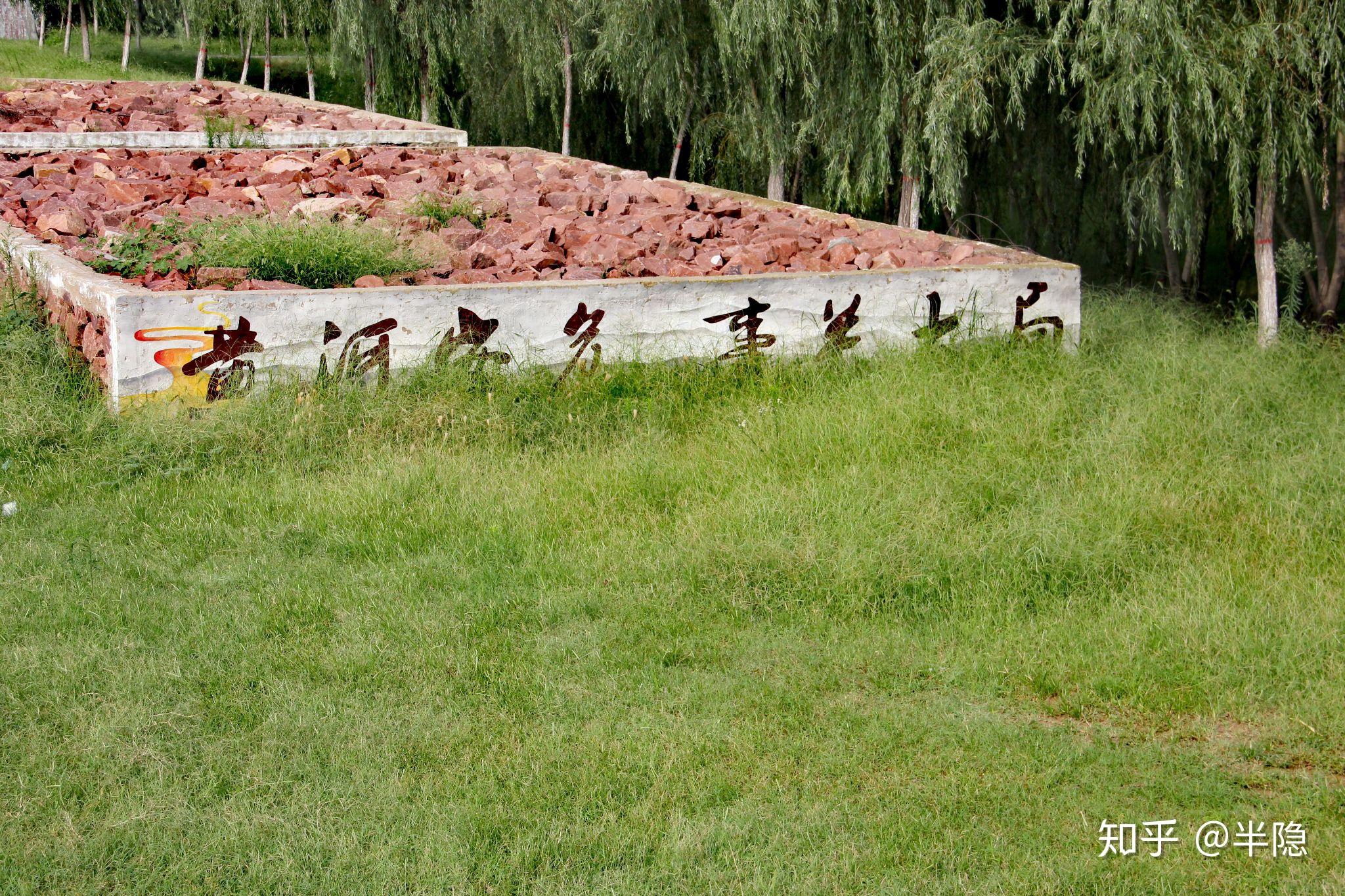 开封黑岗口黄河湿地