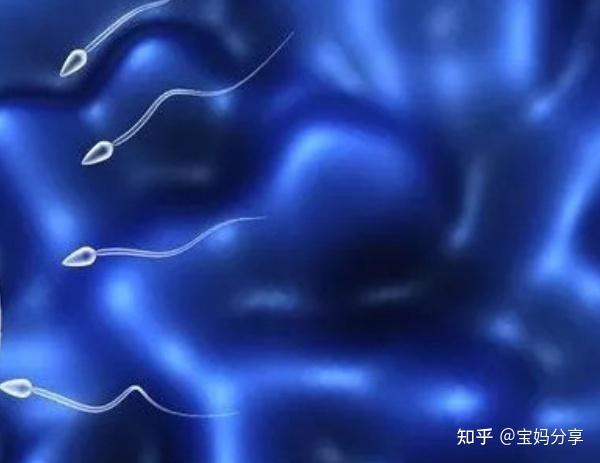男性精弱导致不育怎么调理，四种方法 - 知乎