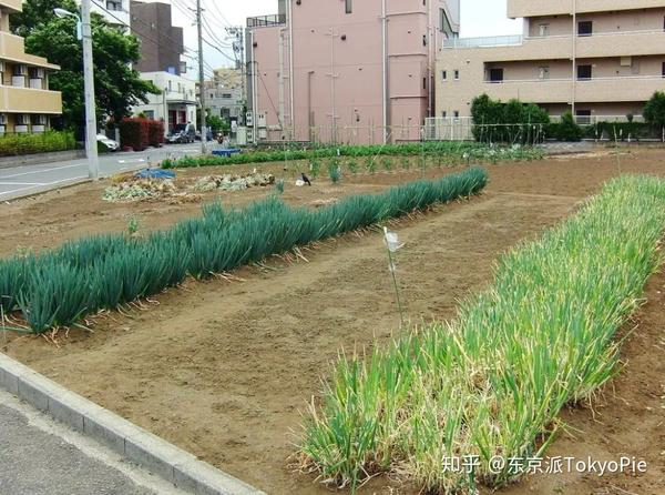 我想住在这样的城市里vol 1 練馬 知乎