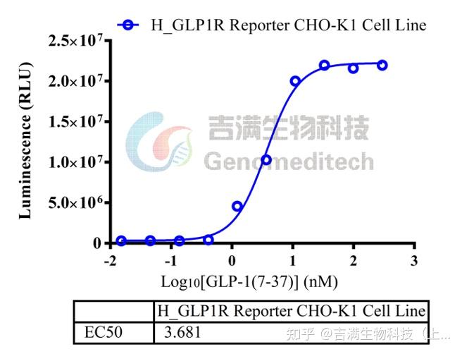 Gcgr Cell Line 降糖/减重赛道:GLP1R/GCGR/GIPR/FGF21 - 知乎