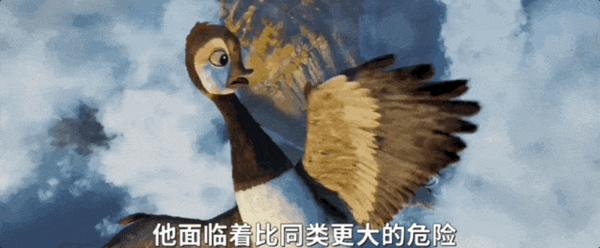《荒野机器人》口碑大爆,年度重磅催泪,快冲!